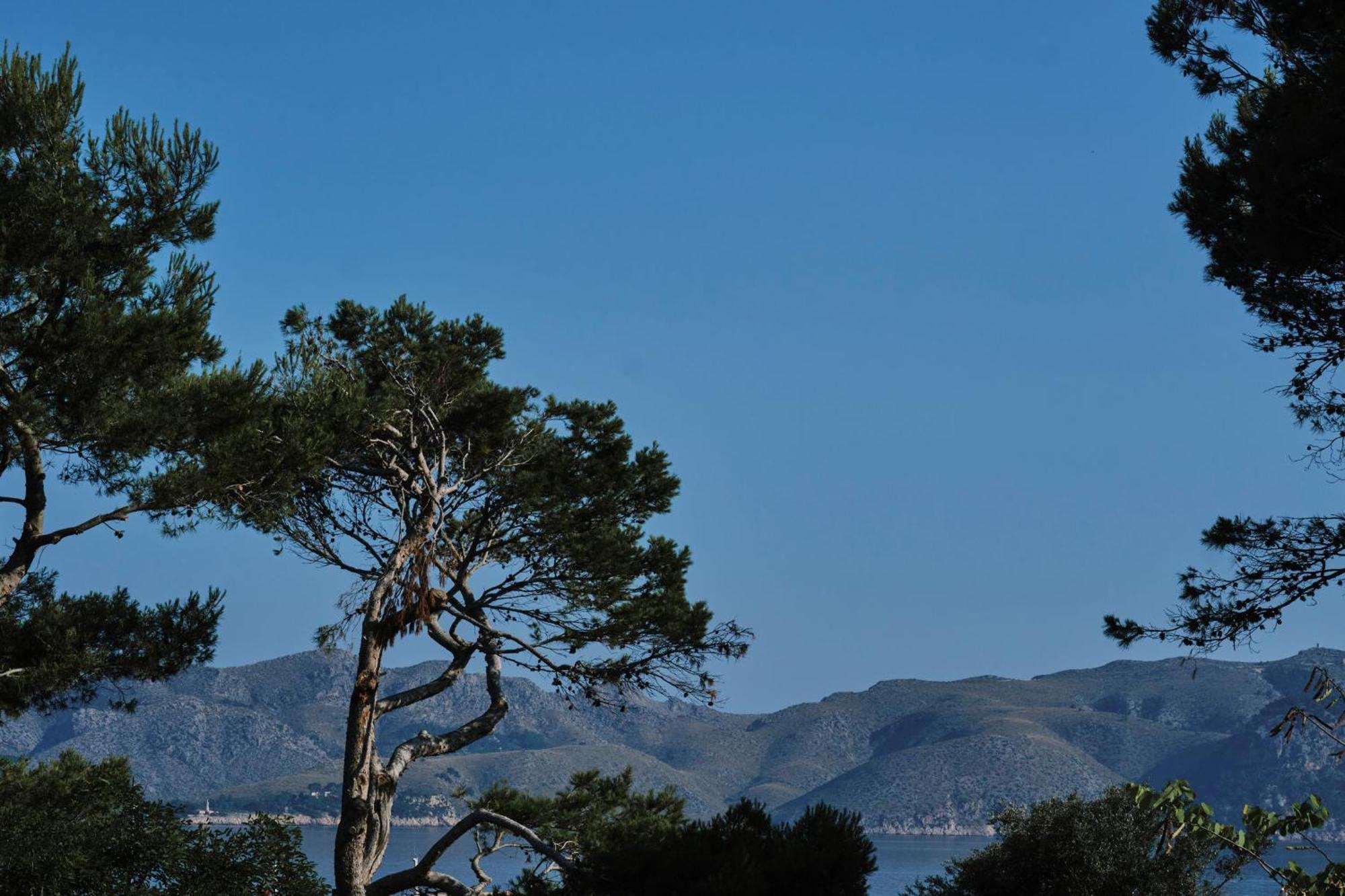 Prinsotel Mal Pas - Adults Only Alcúdia
